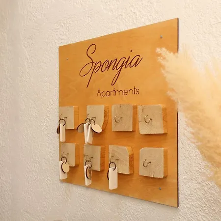 Spongia