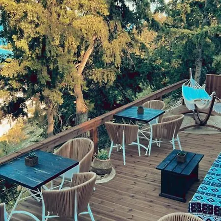 Hotel Spongia 4*