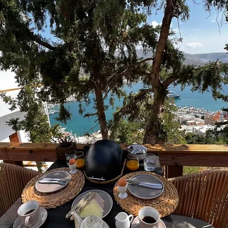 Spongia Apartments And Suites Kalymnos Отель