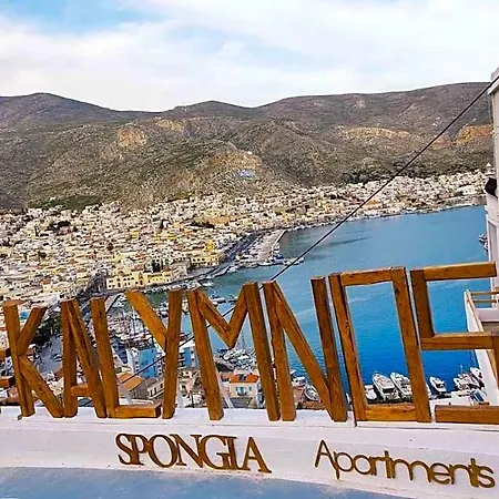 Spongia And Kilimli
