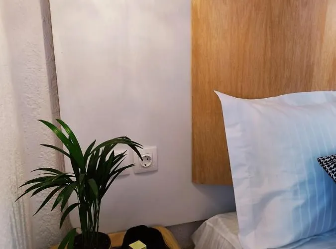 Spongia And Kálymnos