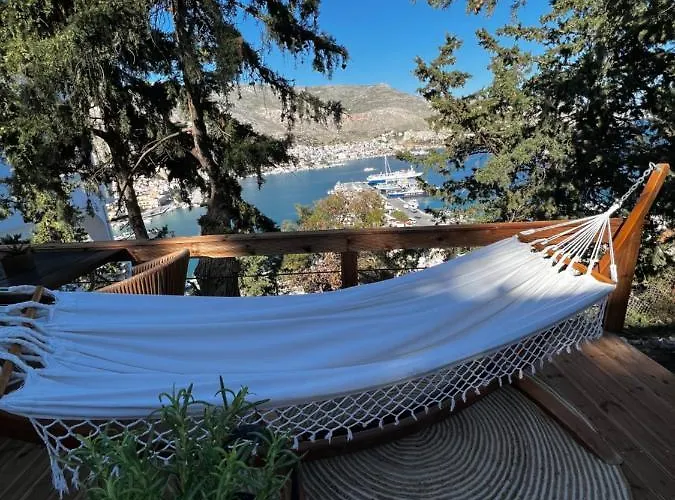 Spongia And Kálymnos